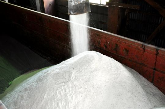 Цены на соль в России вырастут на 10%